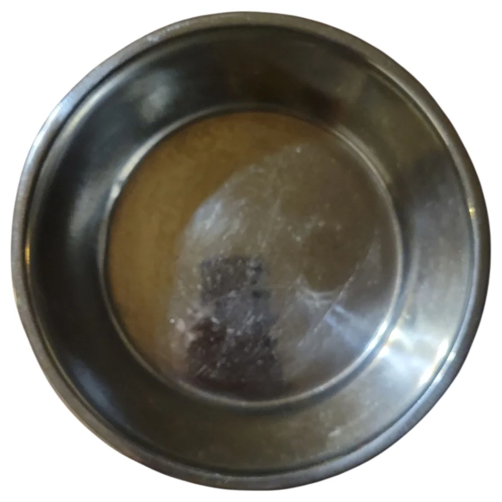 NWT Vibrant Life Dog Cat Pet Dish Bowl Black White Bones Stainless 48 fl oz